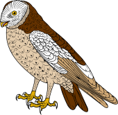Birds of Prey Clipart image: Forked Tail Owl