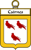 Irish Badge for Cairnes