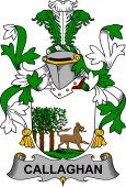 Irish Coat of Arms for Callaghan or O'Callaghan