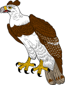 Birds of Prey Clipart image: Harpy Eagle