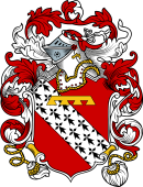 English or Welsh Coat of Arms for Ray (1565)