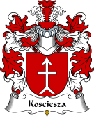 Polish Coat of Arms for Kosciesza I