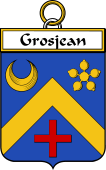 French Coat of Arms Badge for Grosjean