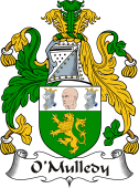 Irish Coat of Arms for O'Mulledy or O'Neady