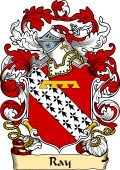 English or Welsh Family Coat of Arms (v.23) for Ray (1565)