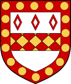 Irish Family Shield for Burges (Westmeath)