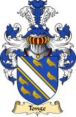 English Coat of Arms (v.23) for the family Tonge or Tong