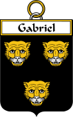 French Coat of Arms Badge for Gabriel