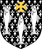 Irish Family Shield for Salmon or Sammon