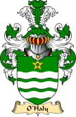 Irish Family Coat of Arms (v.23) for O'Haly or Healy