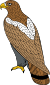 Birds of Prey Clipart image: Imperial Eagle
