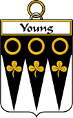 Irish Badge for Young
