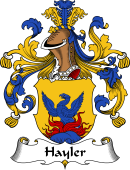 German Wappen Coat of Arms for Hayler