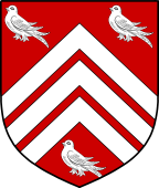 English Family Shield for Singleton