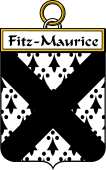 Irish Badge for Fitz-Maurice