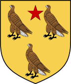 Irish Family Shield for Falkiner (Tipperary)