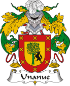 Spanish Coat of Arms for Unanue