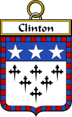 Irish Badge for Clinton
