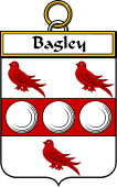Irish Badge for Bagley
