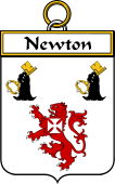 Irish Badge for Newton
