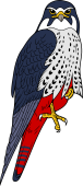 Birds of Prey Clipart image: Red Tailed Hawk