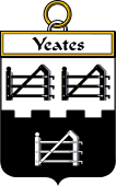 Irish Badge for Yeates