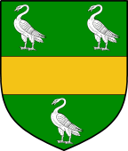 English Family Shield for Swan