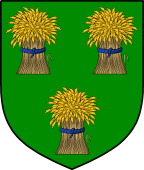 Scottish Family Shield for Dunsmure or Dunmure