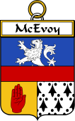 Irish Badge for McEvoy
