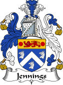 Irish Coat of Arms for Jennings or Jennyns