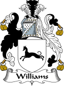 English Coat of Arms for the family Williams II