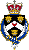 Families of Britain Coat of Arms Badge for: Hayes (England)