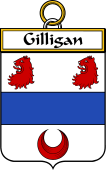 Irish Badge for Gilligan or McGilligan