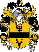 English or Welsh Coat of Arms for Feld