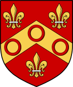 Irish Family Shield for Dennis (Waterford)