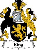 Irish Coat of Arms for King