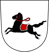 Swiss Coat of Arms for Saal de Wintertür