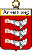 Irish Badge for Armstrong