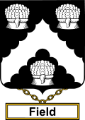 English Coat of Arms Shield Badge for Field