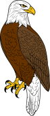 Birds of Prey Clipart image: Bald Eagle Perching