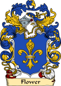 English or Welsh Family Coat of Arms (v.23) for Flower
