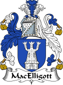 Irish Coat of Arms for MacElligott