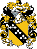 English or Welsh Coat of Arms for Coyne (Staffordshire)