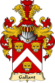 French Family Coat of Arms (v.23) for Gallant