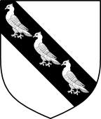 English Family Shield for Pigeon