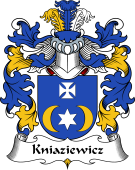 Polish Coat of Arms for Kniaziewicz