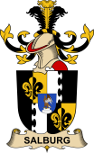 Republic of Austria Coat of Arms for Salburg
