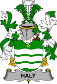 Irish Coat of Arms for Haly