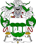Portuguese Coat of Arms for Haes or Hasse