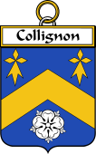 French Coat of Arms Badge for Collignon